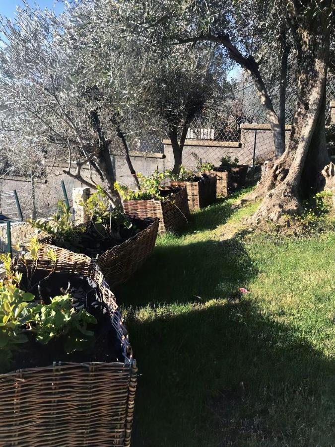 Agriturismo Le Pale 2 Swimming Pool And Parking Bogliasco Exterior photo