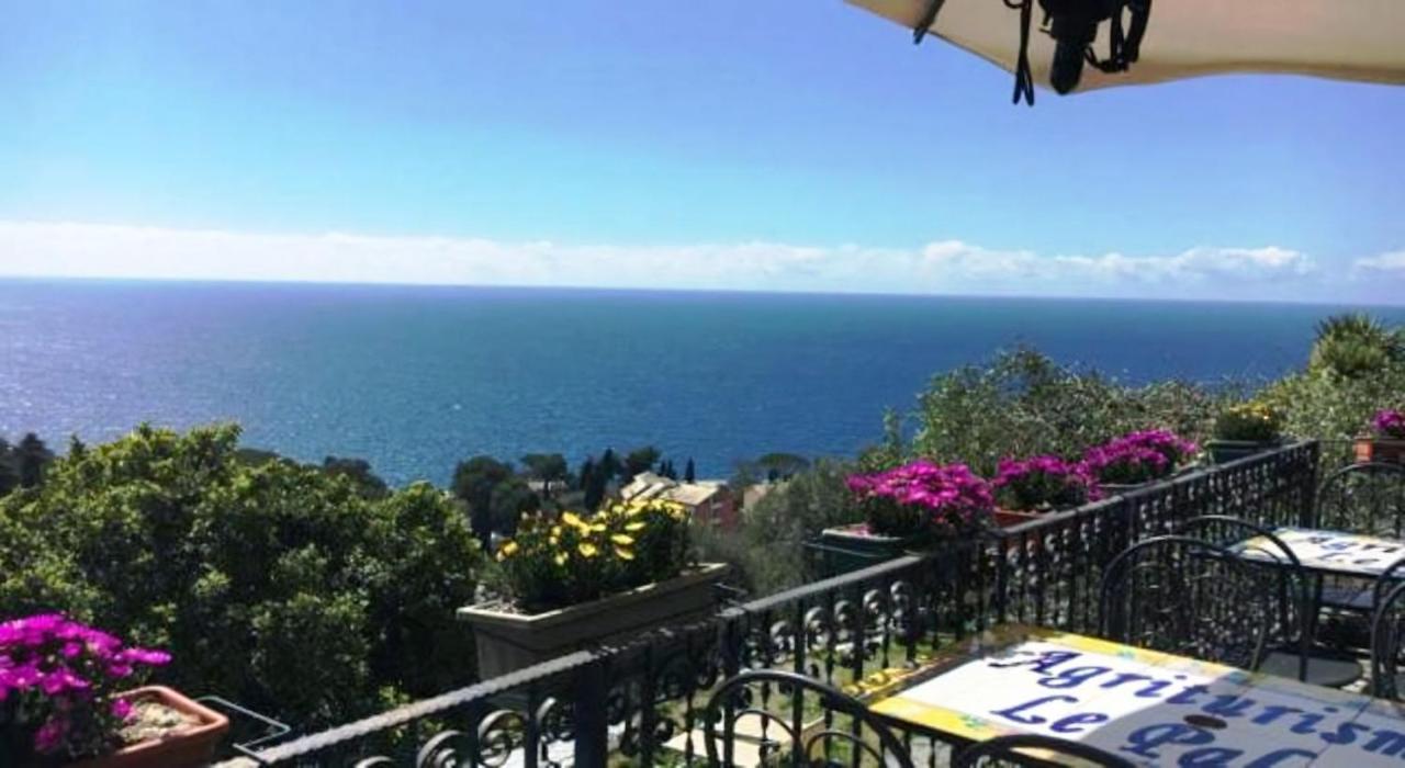 Agriturismo Le Pale 2 Swimming Pool And Parking Bogliasco Exterior photo